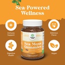 Natures Craft Sea Moss Gummies for Adults and Kids - Vegan Adult and Kids Immune Support Gummies with Burdock Bladderwrack Sea Moss Gel - Delicious Berry Flavor Supplement Men Women Children 30ct 6