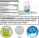 Dairy Relief Caplets, Original, Lactase Enzyme, 120 Pills by Equate (Pack of 1) + Sticker 6
