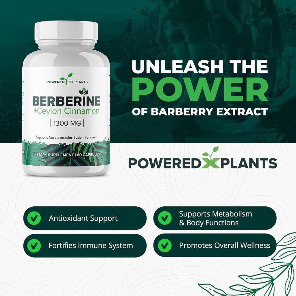 Pure Berberine Supplement - 1300mg Berberine with Ceylon Cinnamon for Metabolism & Immune System Support - 60 Servings 4