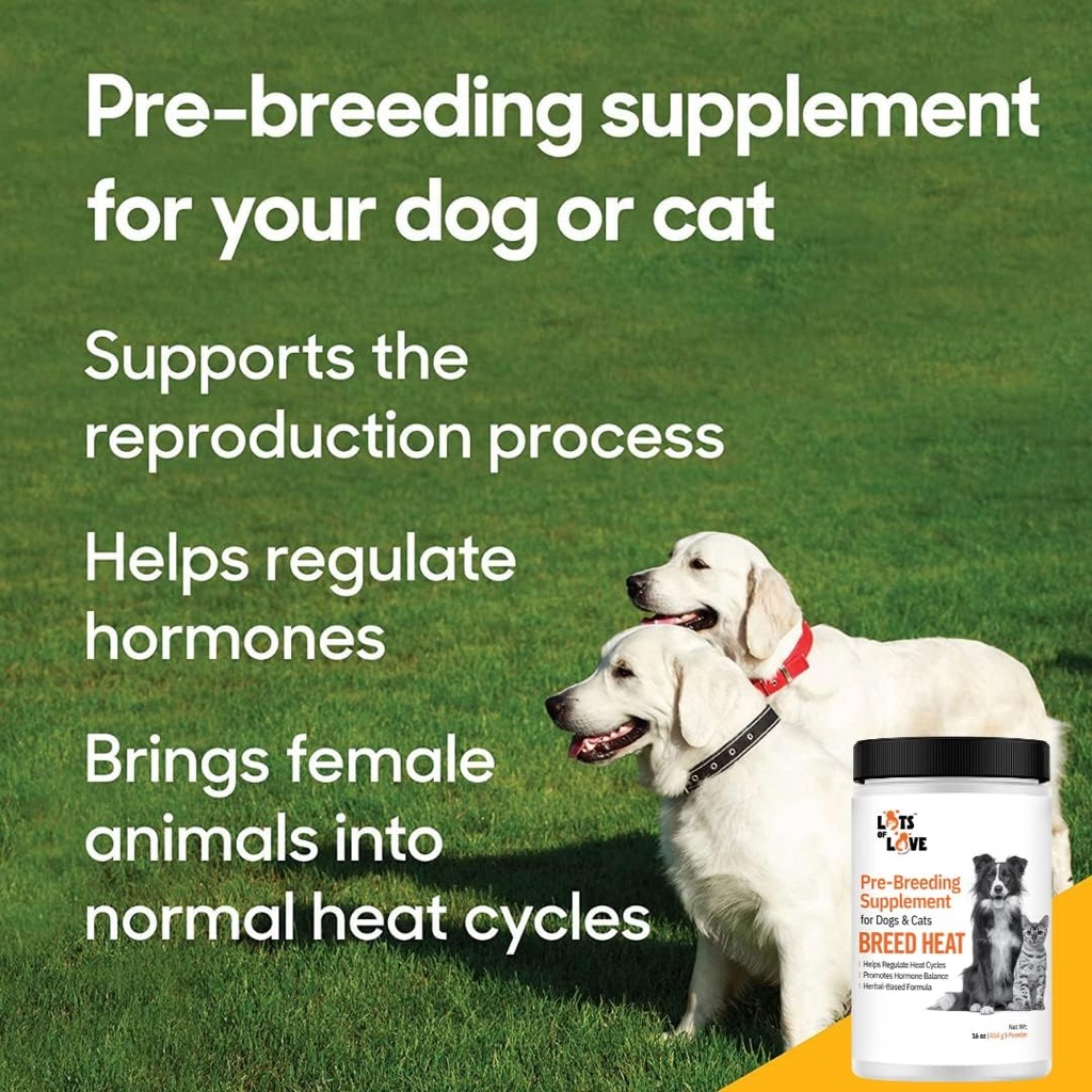 Breed Heat - Breeding & Reproductive Supplement for Dogs & Cats (Formerly Thomas Labs, Same Product) - 16 oz Powder 6
