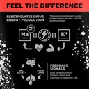 Drink LMNT Sparkling Electrolyte Drink - Watermelon Salt | 12-Count 4