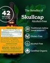 Herb Pharm Certified Organic Skullcap Liquid Extract for Nervous System Support, 1 Fl Oz 3