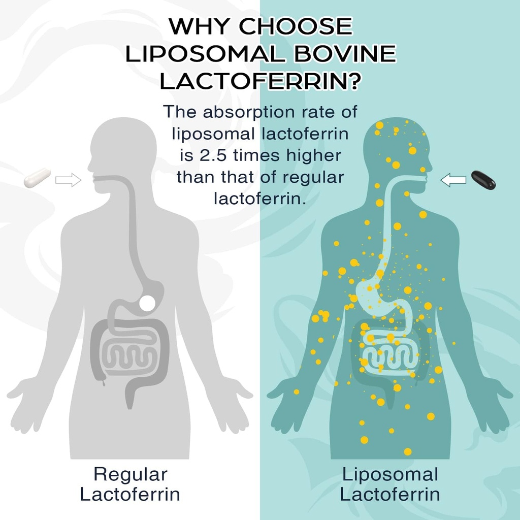 Liposomal Lactoferrin 1000 mg - Higher Absorption - for Iron Absorption & Immune Function Lactoferrin Supplements for Adults, 60 Softgels (3 Bottles) 3