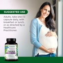 EMERALD LABS Prenatal 1-Daily Multi - Prenatal Multivitamin with Methylated Folate, Iron, Whole-Food Blend & More - Soy-Free, Gluten-Free - 60 Vegetable Capsules 6