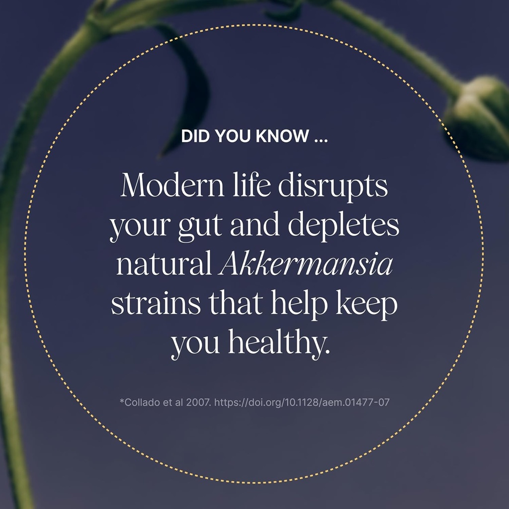 Pendulum Akkermansia Probiotic with Prebiotic Fiber - Delayed Release Capsules, Third-Party Tested, Authentic 100M AFU Live Strain for Gut Health & GLP-1 Support for Men & Women (90 Capsules, 1-Pack) 3