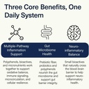 ACEND Medical Food Drink Mix Packets - Inflammation Support Supplement, Vitamin Drink w/Probiotics & Electrolytes, Non-GMO, Gluten-Free, Sugar-Free Pineapple Flavor - 5.8g Packets (15 Doses) 5