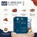 Vita Calm Sleep Aid (寧心) – Natural Herbal Supplement with Lingzhi Mushrooms – Supports Relaxation and Better Sleep – Non-Addictive Formula for Stress Relief and Improved Sleep Quality – 60 Capsules 3