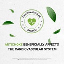 Secrets of the Tribe Artichoke USDA Organic | Alcohol-Free Extract, High-Potency Herbal Drops | Made from 100% Certified Organic Artichoke (Cynara scolymus) Dried Leaf 2x4 oz 6