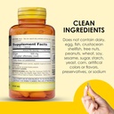 MASON NATURAL Whole Herb Ginger 500 mg, 6 Month Supply, Natural Herbal Supplement, 60 Capsules (3 Pack) 6