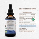 Black Elderberry USDA Organic Tincture | Alcohol-FREE Extract, High-Potency Herbal Drops, Immune System Health | Made from 100% Certified Organic Black Elderberry (Sambucus Nigra) 2 oz 5