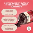 Natural Cranberry Gummies for Women and Men - Extra Strength Delicious Antioxidant Cranberry Chews for Urinary Tract Health Kidney Support Bladder & Immune Health - Vegan Gluten & Gelatin Free 5