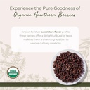 Starwest Botanicals Organic Hawthorn Berries Whole - Dried Loose Leaf Herb for Tea, Jam, & Herbal Extracts, Natural Digestion Support, Certified Kosher, Non-GMO - Bulk 1 lb Bag 4