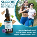 Adrenal Support & Mushroom Liquid Drops - Organic Adrenal and Focus Supplement, Cortisol Support - Mushroom Complex Lion's Mane Mushrooms, Reishi Turkey Tail Extract Shiitake Agaricus Maitake 5