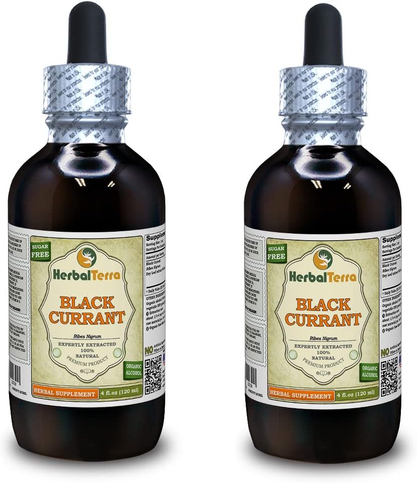 Black Currant (Ribes nigrum) Tincture, Dried Leaves Liquid Extract (Brand Name: HerbalTerra, Proudly Made in USA) 2x4 fl.oz (2x120 ml) 2