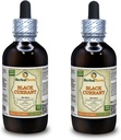Black Currant (Ribes nigrum) Tincture, Dried Leaves Liquid Extract (Brand Name: HerbalTerra, Proudly Made in USA) 2x4 fl.oz (2x120 ml) 2