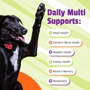 Pet Naturals Daily Multivitamin for Dogs, Veggie Flavor, 150 Chews - Yummy Chews with Amino Acids, and Antioxidants - Supports Energy, Metabolic Function and Pet Wellness 5