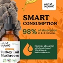 Wild & Organic Turkey Tail Mushroom Tincture - Immune Support Drops with Turkey Tail Extract - Liquid Mushroom Supplement for Gut Support - Vegan, Sugar & Alcohol-Free - 4 fl oz 5