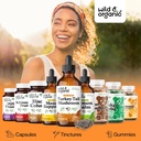 Wild & Organic Turkey Tail Mushroom Tincture - Immune Support Drops with Turkey Tail Extract - Liquid Mushroom Supplement for Gut Support - Vegan, Sugar & Alcohol-Free - 4 fl oz 6