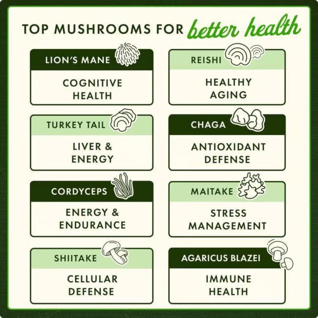 Swanson Turkey Tail Mushroom - Herbal Supplement Promoting Immune System & Cellular Health - Natural Formula Promoting Liver Function & Defense - (120 Capsules, 500 mg) 5