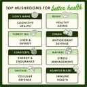 Swanson Turkey Tail Mushroom - Herbal Supplement Promoting Immune System & Cellular Health - Natural Formula Promoting Liver Function & Defense - (120 Capsules, 500 mg) 5