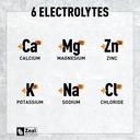 zeal-naturals-electrolyte-powder-recover-6.jpg