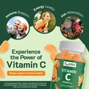 Vitamin C Gummies for Adults - 250 mg Yummy Vitamin C Gummy - VIT C Gummies - Immune Support Supplement -Orange Flavored Kosher, Halal, Gluten Free (100 Count) 6