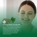 Ox Bile Salts for Gallbladder Support - Purified Bile Salts Supplement with Pancreatin Digestive Enzymes Ox & Betaine HCL - Supplements for No Gallbladder & Digestive Health 20 Days 5