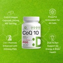 DEAL SUPPLEMENT CoQ10 200mg with PQQ 200mcg, 240 Veggie Capsules | Bioavailable Coenzyme Q10 Complex | Supports Heart, Energy & Brain Health | Antioxidant Support | Non-GMO 5
