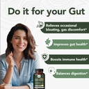 Herbal BEE Gut Health - Gas and Bloating Relief, Constipation, Leaky Gut Repair - Gut Cleanse & Restore Digestion - Promote Regularity, Colon Cleanser, 60 Capsules 5