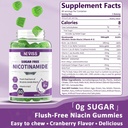 NEVISS Vegan Iron Supplement, Gentl Iron + Sugar Free Nicotinamide 500mg Gummies 3