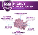 Elderberry Immune Support 1200mg - Daily Immune Support for Adults with Concentrated Sambucus Black Elderberry Extract - Antioxidant Vitamin Supplement, Gluten Free, Bottled in USA - 120 Capsules 6