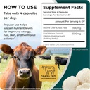 Natural Energy & Focus for High Performing Professionals w/Grass Fed Beef Liver Capsules w/Lions Mane | Grassfed Beef Liver Supplement Supports Full Body Wellness & Iron Levels | 30 Serving-120 Cnt 5