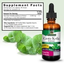 Nature's Answer Gotu Kola Herb with Organic Alcohol, 2-Fluid Ounces 4