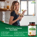 Zazzee High Potency CLA 3600, 180 Softgels, 3600 mg per Serving, Conjugated Linoleic Acid from Safflower Oil, Concentrated and Standardized, 60 Day Supply, Non-GMO and Made in The USA 3