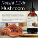 Auri Reishi Super Mushroom Elixir - Immune Booster and Stress Support Supplement to Achieve Deeper Sleep - Reishi Tincture 60ml 5