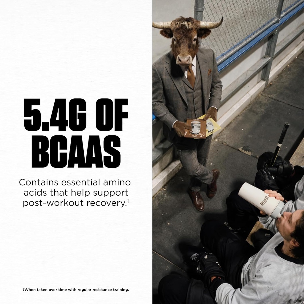 Levels Grass Fed Whey Protein Powder, No Artificials, 24G of Protein, Chocolate Peanut Butter, 2LB 6