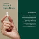 GAIA HERBS PRO Glutathione 500 - Antioxidant Supplement Supports Cellular Health* - Supplement with Glutathione for Men & Women - Vegan, Gluten-Free, Soy-Free - 30 Capsules (30 Servings) 5