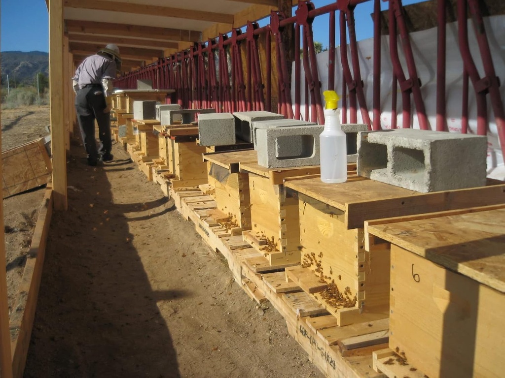 100% Pure Organic Fresh Royal Jelly Nutritious Superfood for Wellness and Beauty (4kg) 5