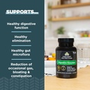 Ancient Nutrition Digestive Enzymes, Supports Gut Health, Promotes Healthy Digestive Function, 90 Ct 4