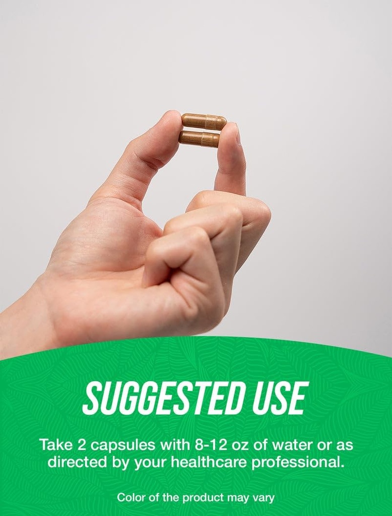 BulkSupplements.com Mucuna Pruriens Capsules - Herbal Supplements, Mucuna Pruriens Supplement, Velvet Beans - Vegan & Gluten Free, 2 Capsules per Serving (1000mg), 180 Count (Pack of 1) 5