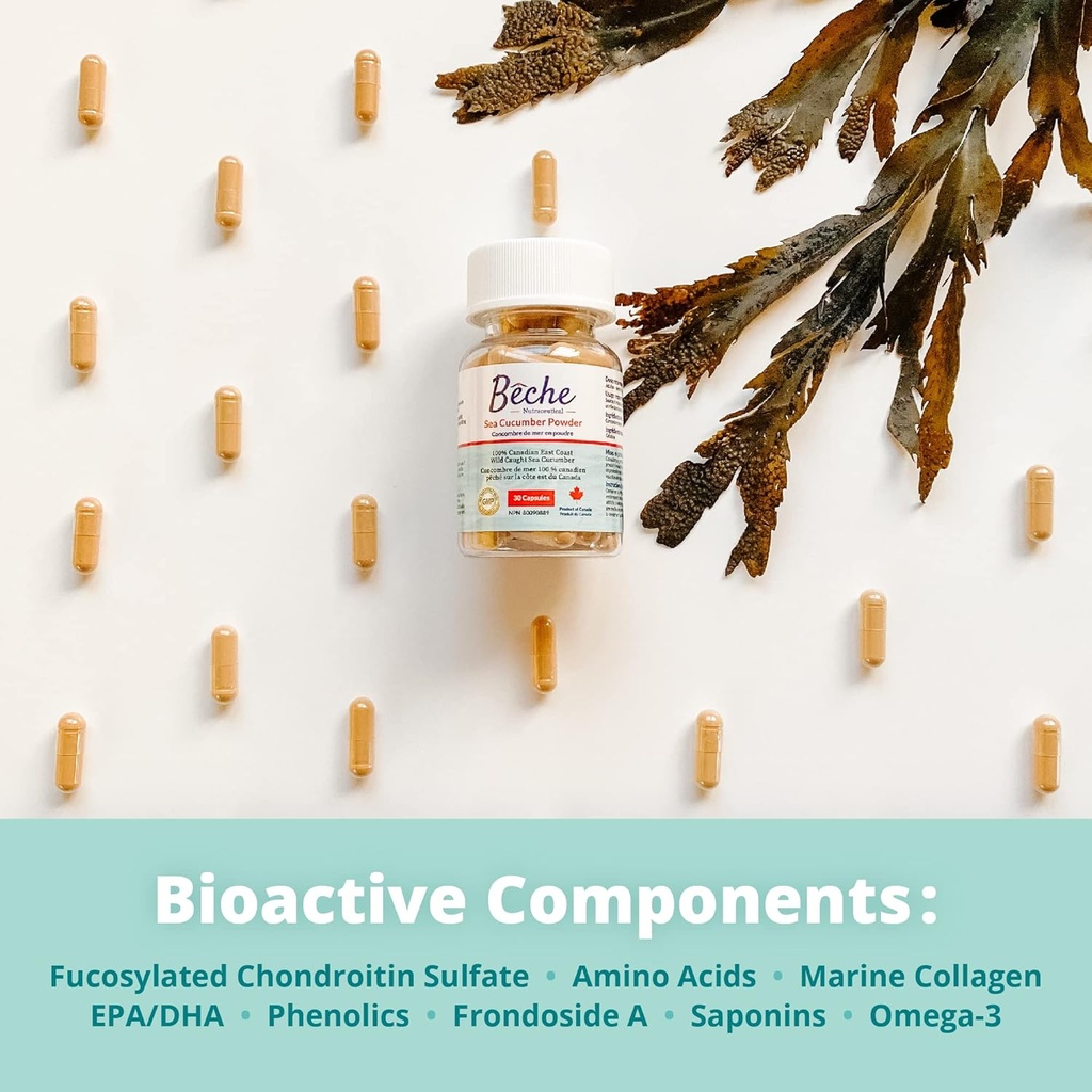 100% Sea Cucumber Powder Capsule 30Caps 5