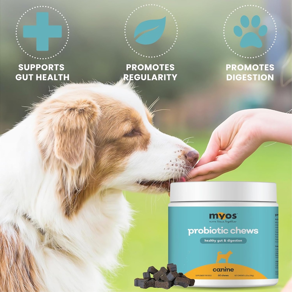 MYOS Probiotic Chew for Dogs - Daily Digestive Support, Promotes Complete Gut Health, Aids Digestion, Enhances Nutrient Absorption, Supports Healthy Stool - All-in-One Chewable Supplement 5