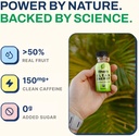 Ethan's Organic Clean Energy Shots Pineapple, Sugar Free Natural Pre-Workout Focus Boost, Gluten Free, Vegan, B6 & B12 Vitamin C with Green Tea Extract and Guayusa (2 Pack of 2oz Shots) 5