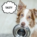 Heart Support Granules for Dogs – Vet-Formulated, Antioxidant-Rich- L-Taurine, L-Carnitine, EPA, DHA, CoQ10- Aids Circulatory Strength, Cardiovascular Support, Heart Muscle Function-USA Made- 90 Doses 6