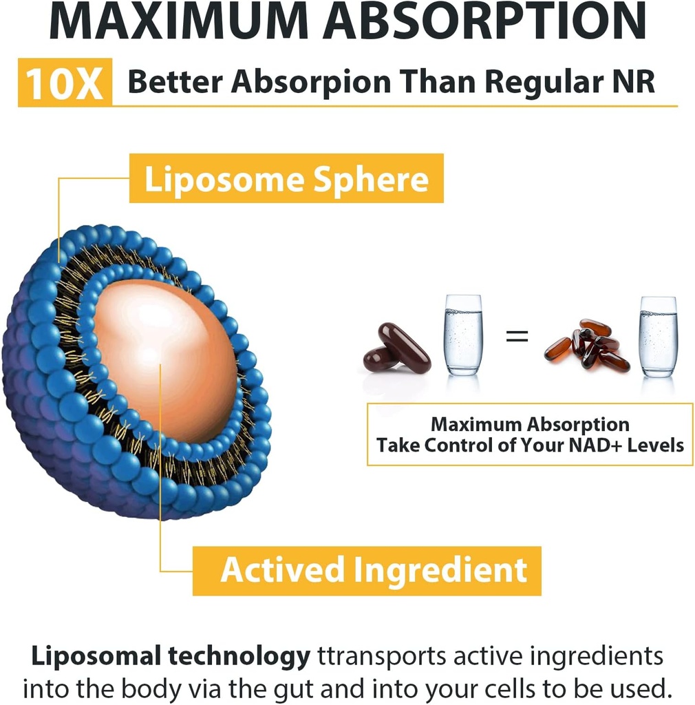Orgabay Liposomal Nicotinamide Riboside 2000 MG with TMG and Pterostilbene, Boosting NAD+, Support Healthy Aging, 240 Count 5