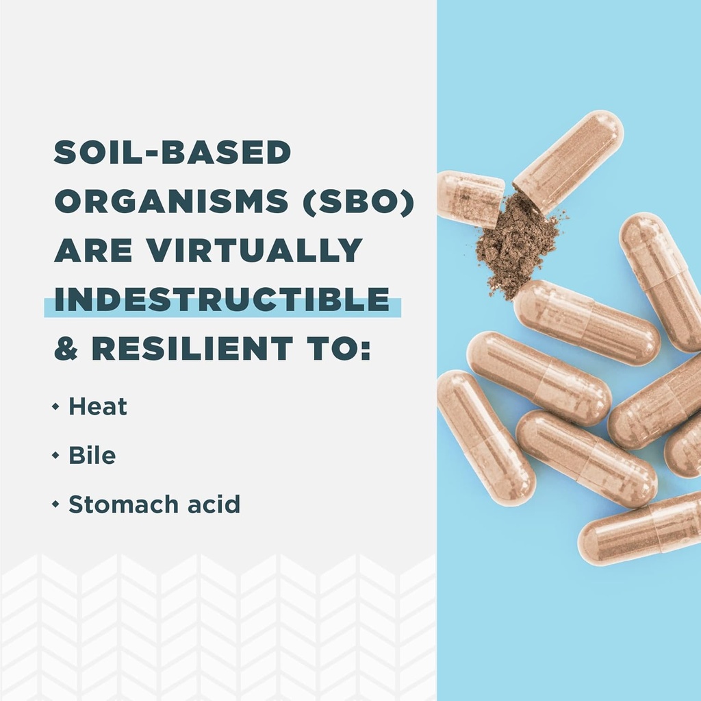 Ancient Nutrition Probiotics for Men, SBO Probiotics Men's Once Daily 30 Ct, for Healthy Digestion and Immune System Function Support, 25 Billion CFUs* Per Serving 6