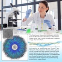 Immune Perfecto - Atomic Particle Trace Minerals of Colloidal Silver, Copper, and Zinc - Perfect on Demand Metabolic Support - 8 oz. (236 ml) 3