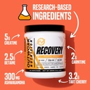 Outwork Nutrition Post Workout Recovery Powder - Creatine Monohydrate, KSM-66 Ashwagandha & Tart Cherry - Speeds Recovery, Eases Soreness - Creatine Powder for Men & Women, Orange Sherbet, 230 Gr 4