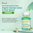 Soursop Graviola Gummeis, Organic Soursop Leaves and Fruit Extract for Cell Support & Regeneration, Immune Boost, Digestive Aid, Sugar Free/Vegan, 60 Count 6