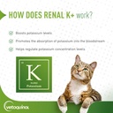 Vetoquinol Renal K+ (Potassium Gluconate) Potassium Supplement Powder for Dogs and Cats, 3.5oz 4